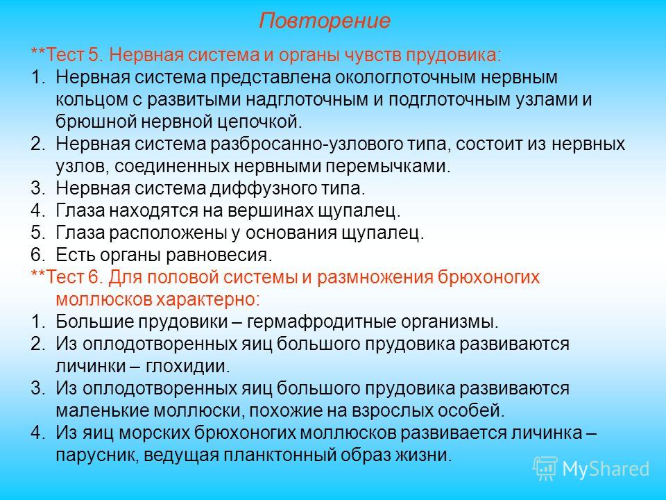 Тест по нервной системе 8 класс